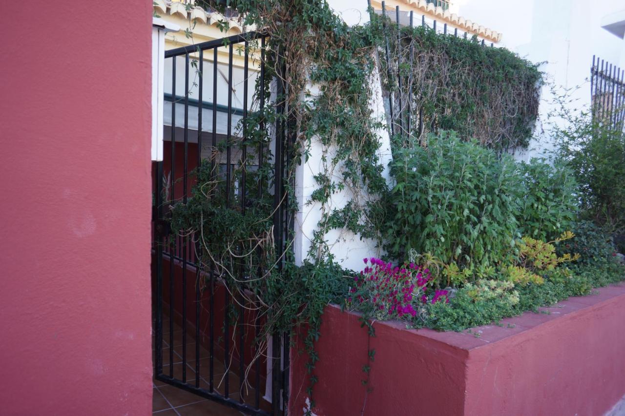 Cute And Relaxing Bed And Breakfast En Albayzin Grenade Extérieur photo
